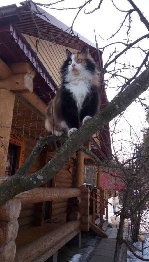 Agrousad'Ba Okolitsa Shchibri Exterior foto